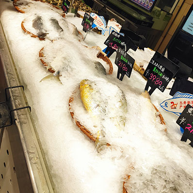 500公斤片冰機交付廣東廣州某超市使用